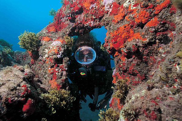 Submarinista explora fondo marino en Gran Canaria