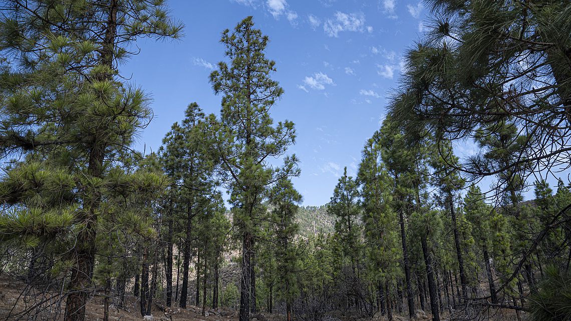 Reserva de la Biosfera