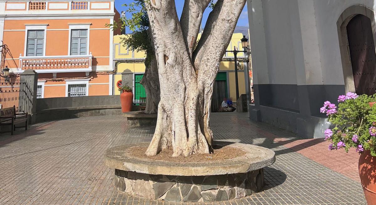 XXII Feria del Sureste