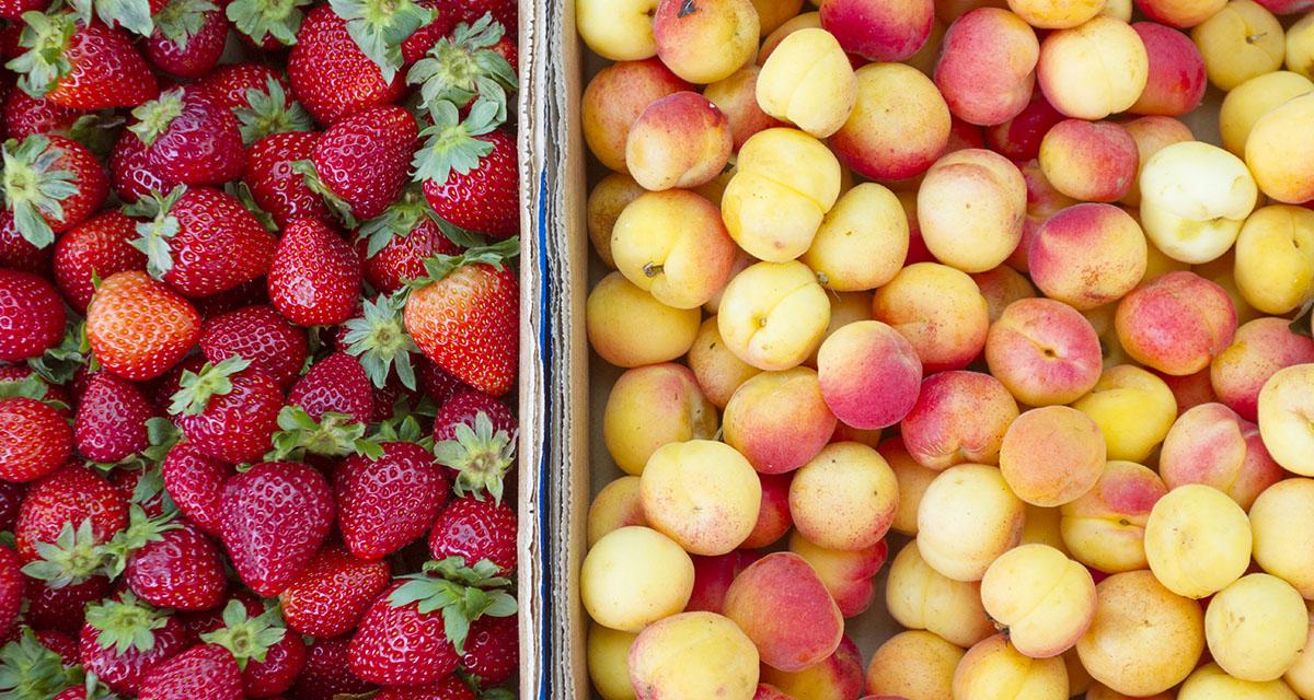 Feria Km.0 Gran Canaria - Agüimes