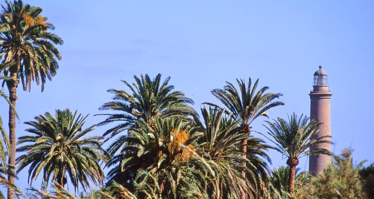 Maspalomas Pride by Freedom