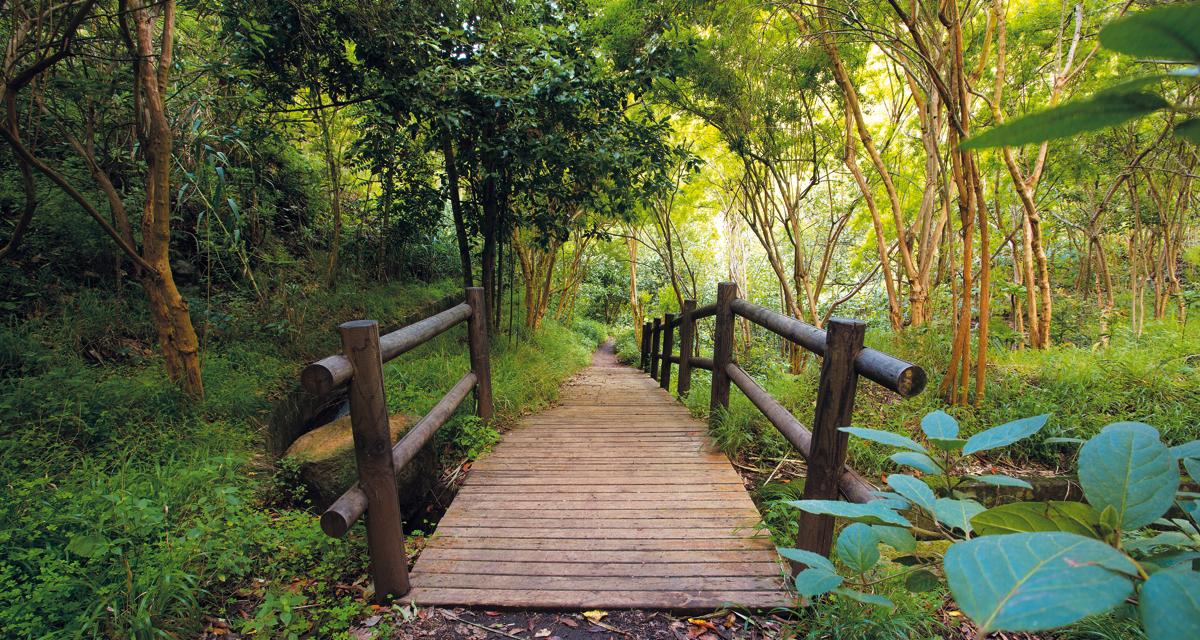 Gran Canaria Walking Festival