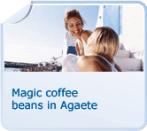 Magic coffee beans in Agaete