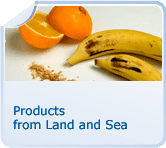 Products from Land and Sea