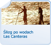 Stand up Paddle Surf na Las Canteras
