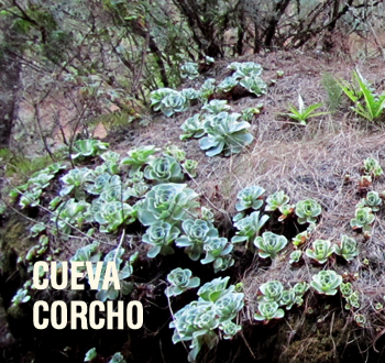 Cueva Corcho
