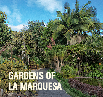 Gardens of La Marquesa