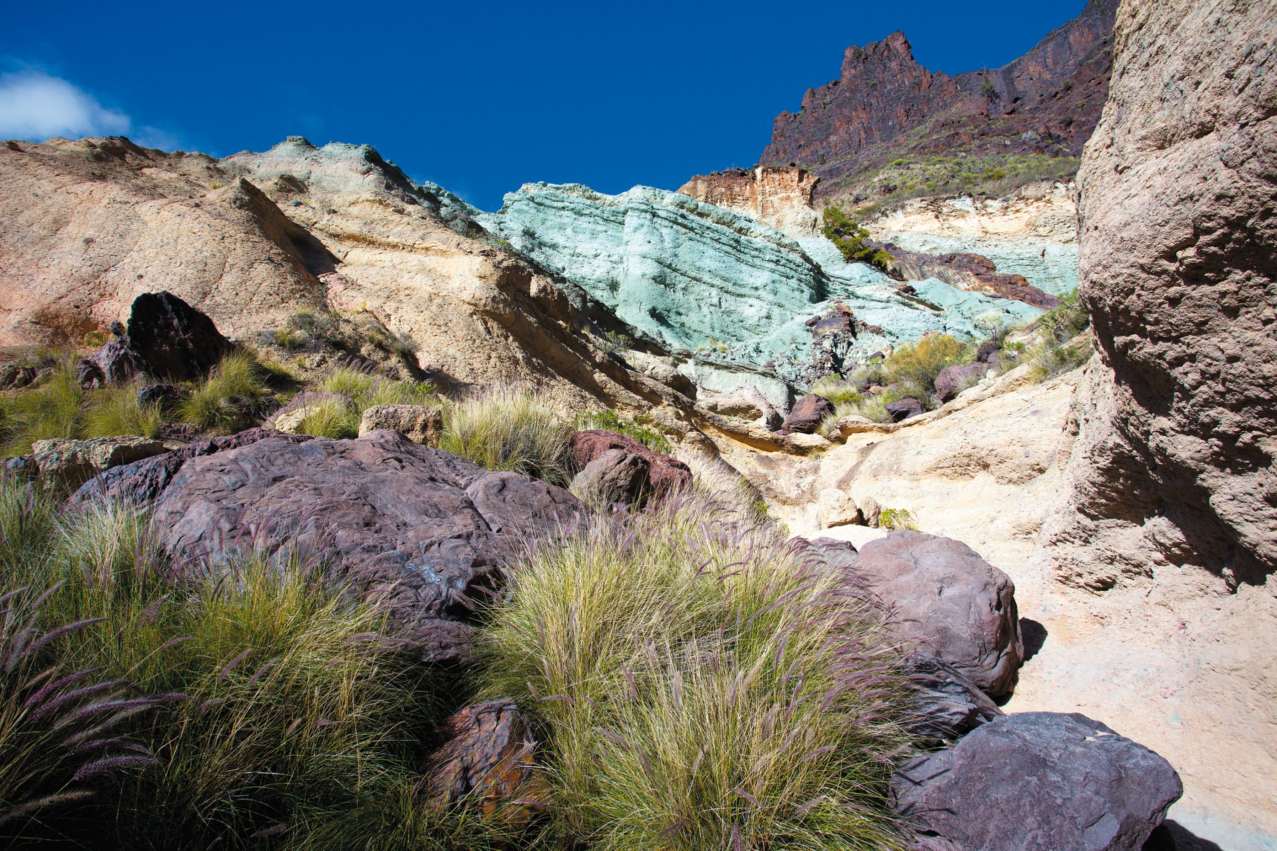 Natuurmonument Los Azulejos