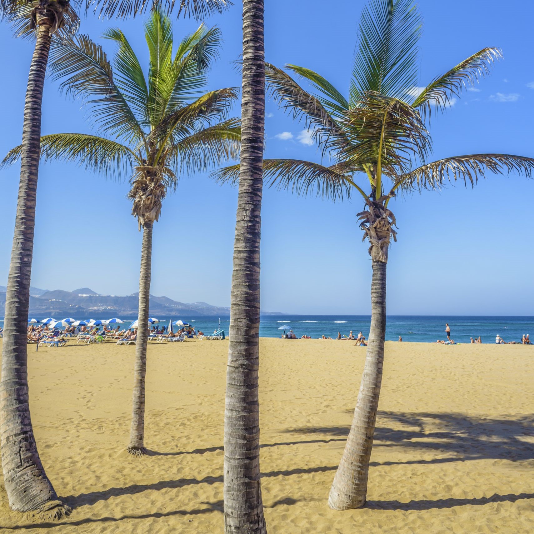 Het strand van las Canteras