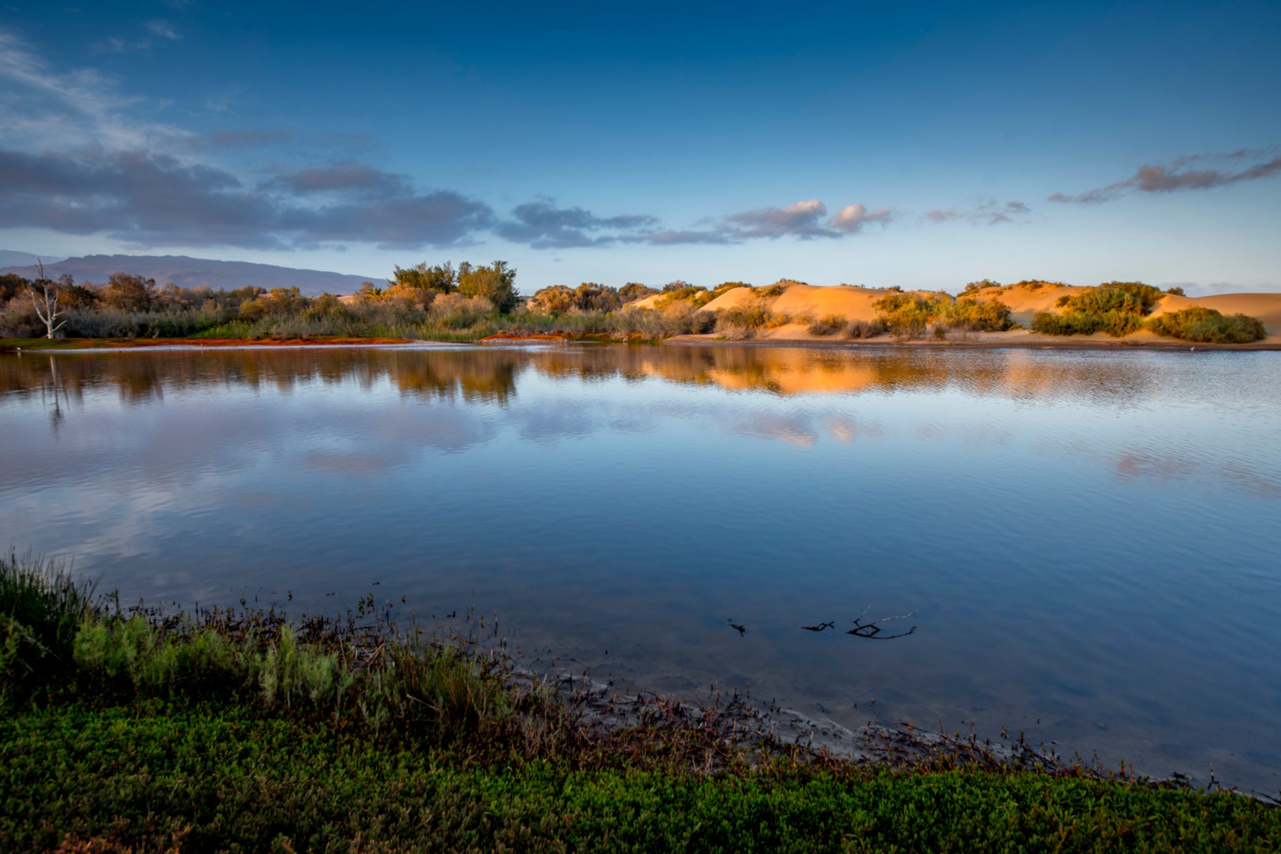 Maspalomas