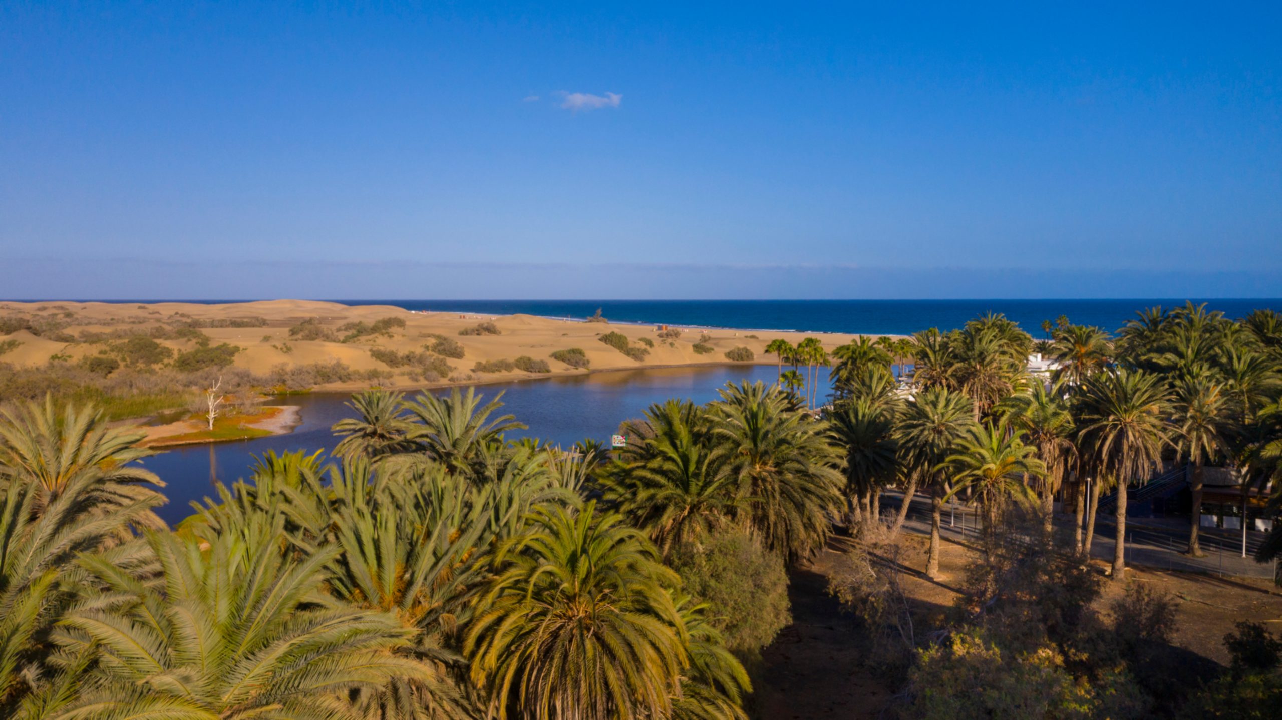 Maspalomas