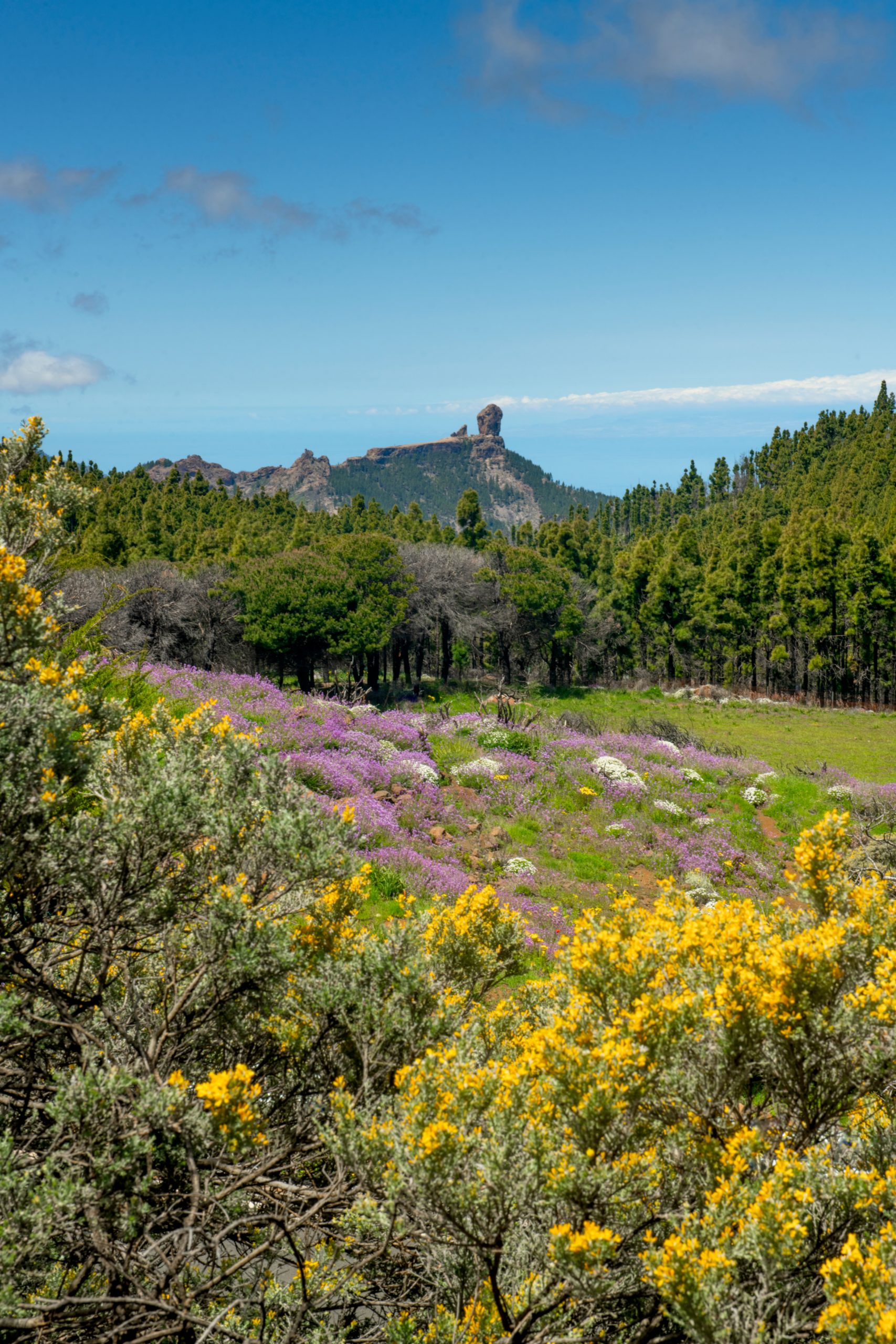 Roque Nublo