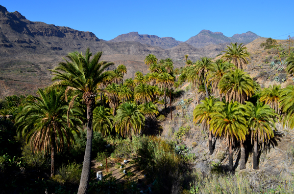 Gran Canaria's hinterland