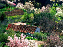Ett undangömt hus mellan blommande mandelträd