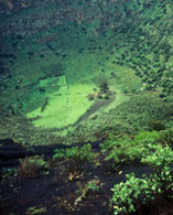 Caldera de Bandama crater