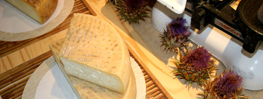 Käse und Blumenkäse aus Guía
