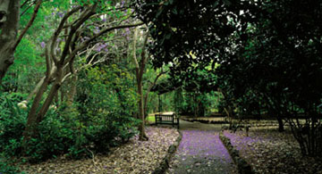 Viera y Clavijo botanical gardens