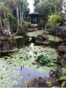 A pond in the Garden of La Marquesa