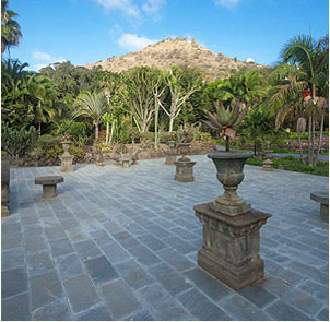 Views of the Garden of La Marquesa in Arucas
