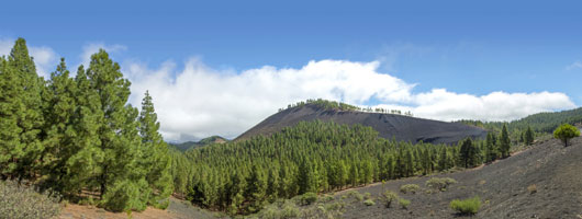 Vy över Montañón Negro från utsiktsplatsen Pinos de Gáldar