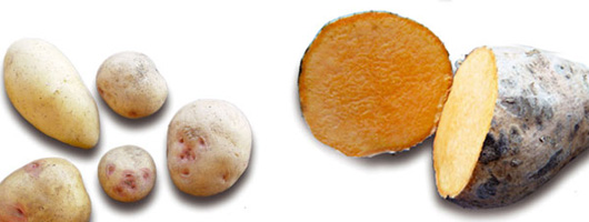 Potatoes and sweet potatoes