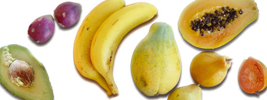 Tropical fruits: bananas, papaw and mango…