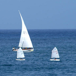 Three lateen sailing boats surging the ocean waves