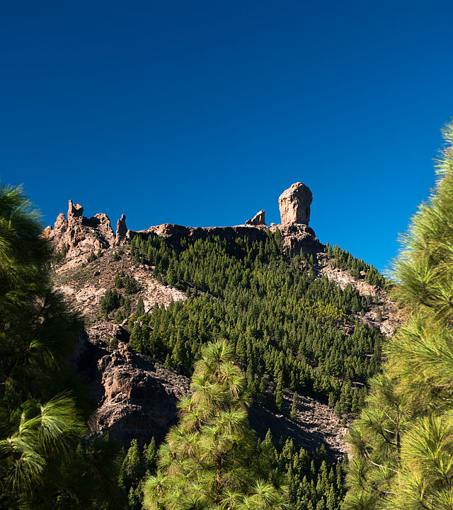 Roque Nublo