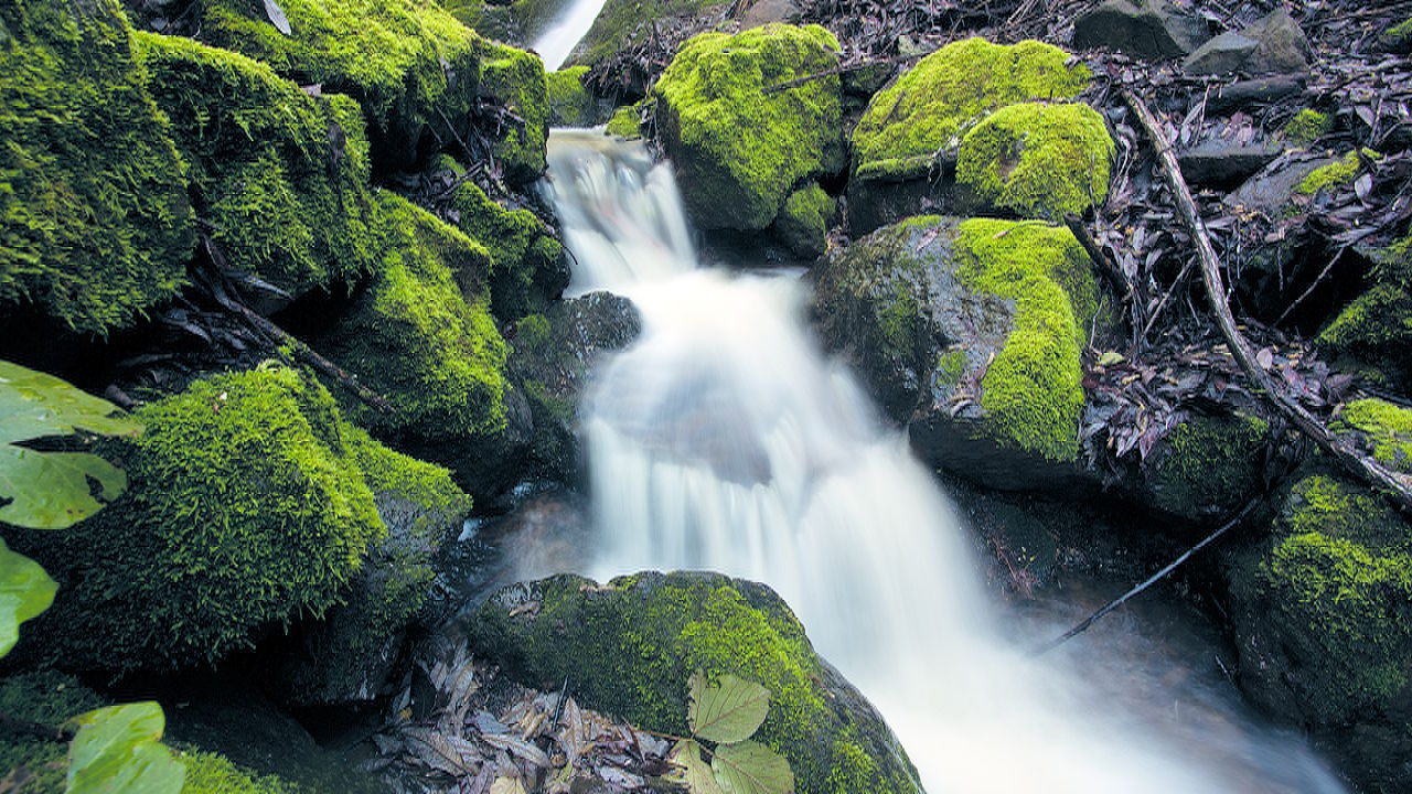 Barranco de la Mina