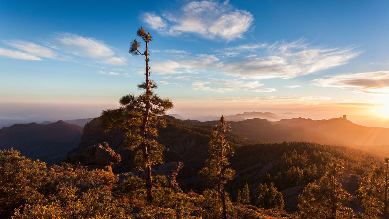 Cumbre de Gran Canaria