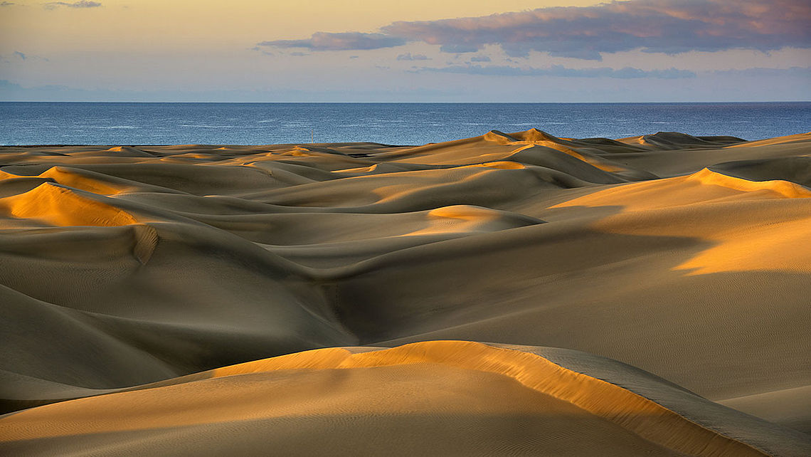 canary islands tourist