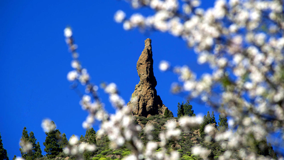 Roque El Fraile, behind flowering almond trees