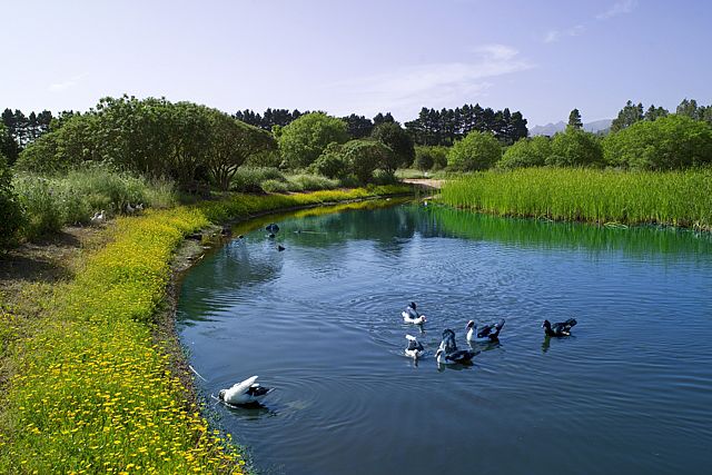 Laguna de Valleseco en Gran Canaria