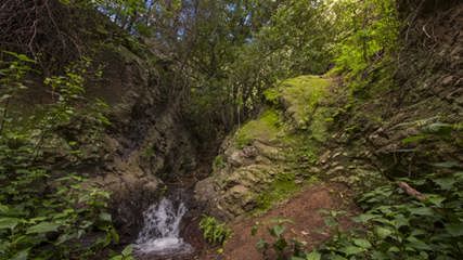 Barranco de Los Cernícalos