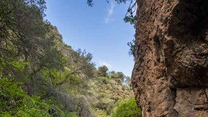 Barranco de Los Cernícalos