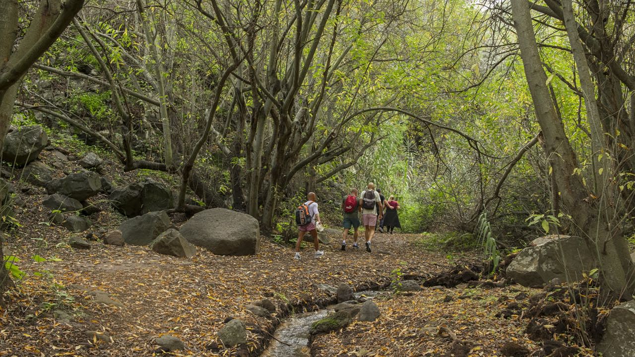 Barranco de Los Cernícalos