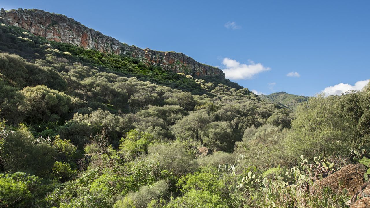 Barranco de Los Cernícalos