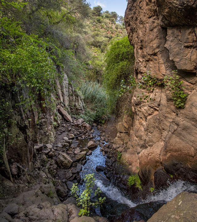 Barranco de Los Cernícalos