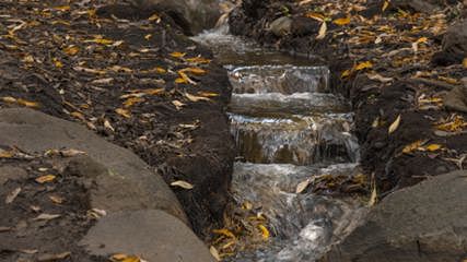 Barranco de Los Cernícalos