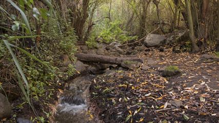 Barranco de Los Cernícalos