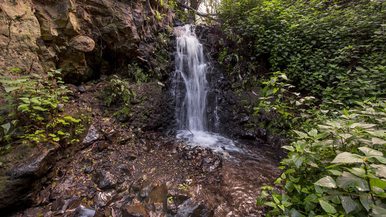 Barranco de Los Cernícalos 