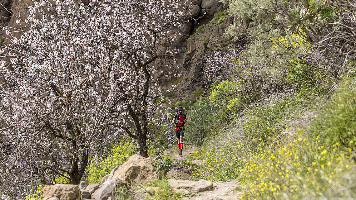 Uno de los tramos de la North Face Transgrancanaria, celebrada en Gran Canaria