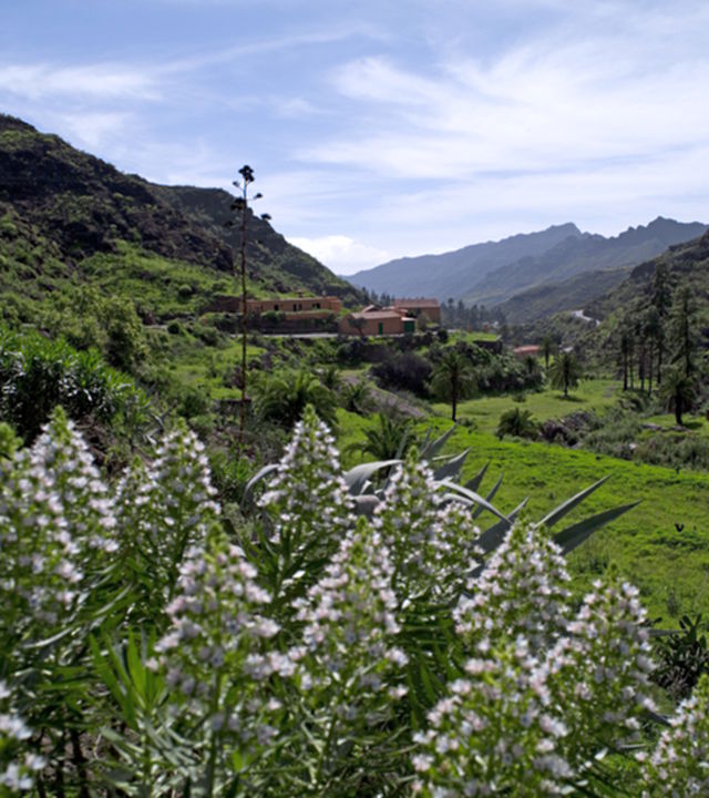 Valle de Mogán