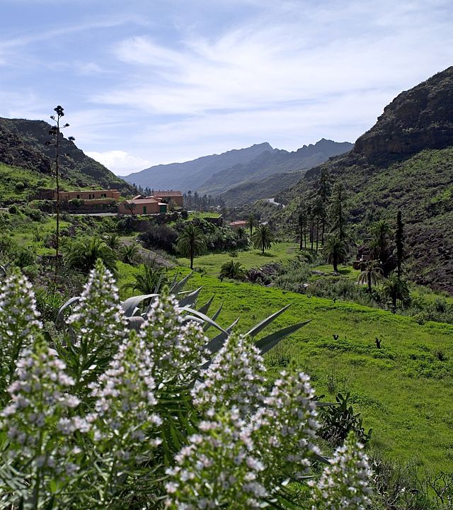 Valle de Mogán Valle de Mogán