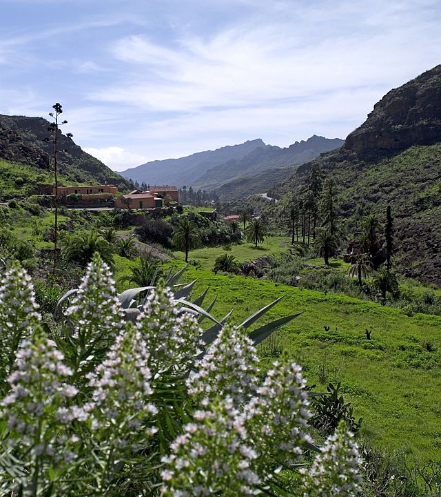 Valle de Mogán