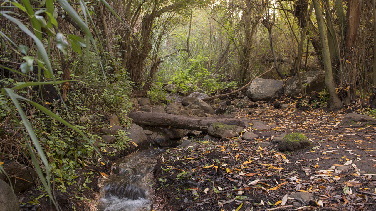 Barranco de Los Cernícalos