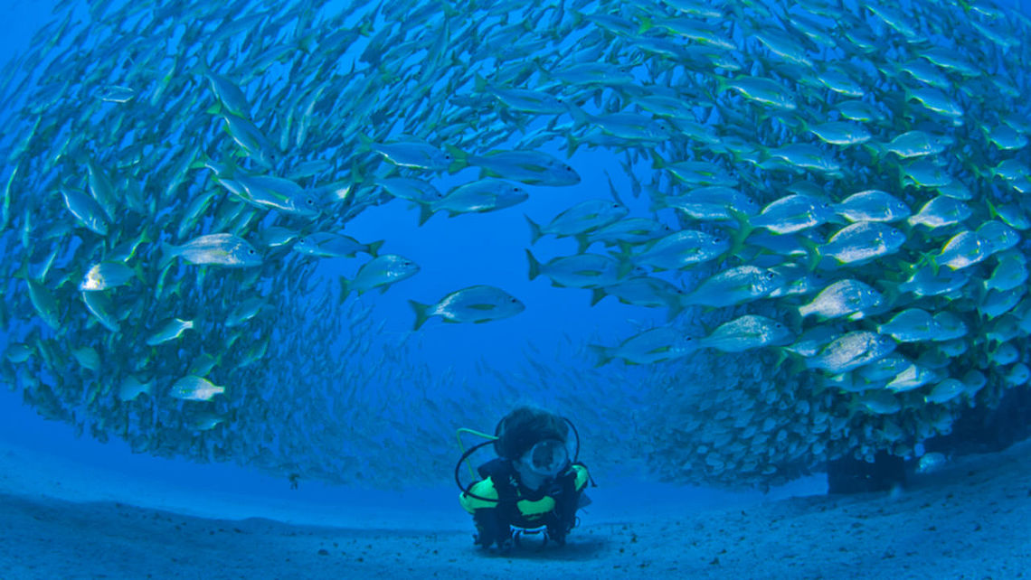 Submarinismo Submarinismo