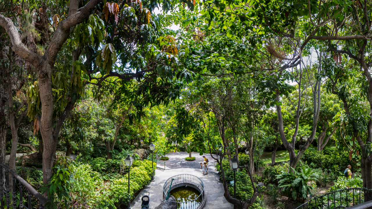 Huerto de las Flores en Agaete