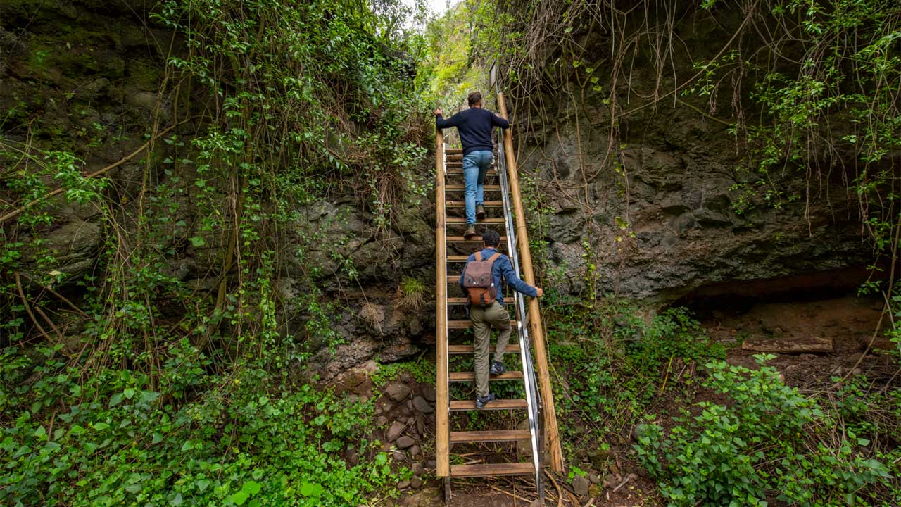 Sendero El Álamo, Teror