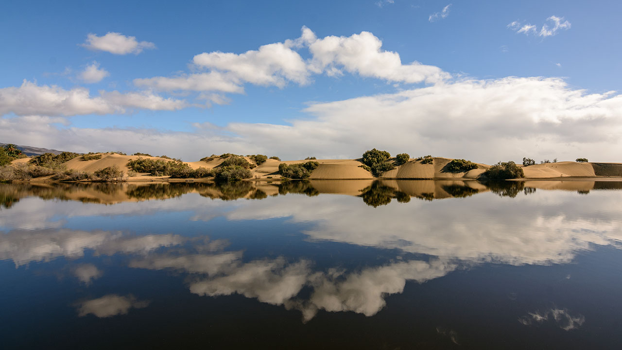 Charca de Maspalomas, con eflejo del paisaje en el agua y Dunas de Maspalomas al fondo Charca de Maspalomas, con eflejo del paisaje en el agua y Dunas de Maspalomas al fondo